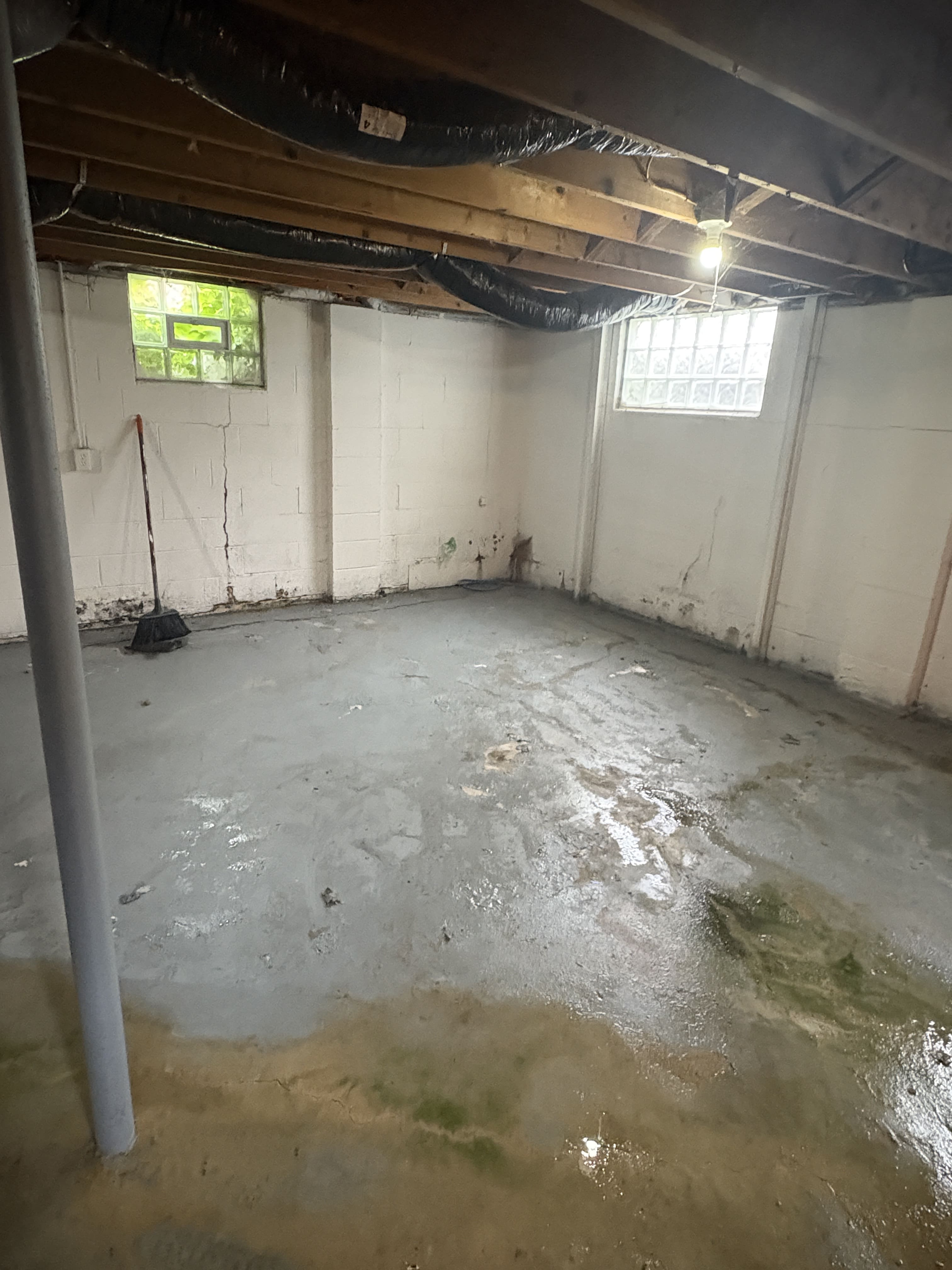 After Basement Cleanout