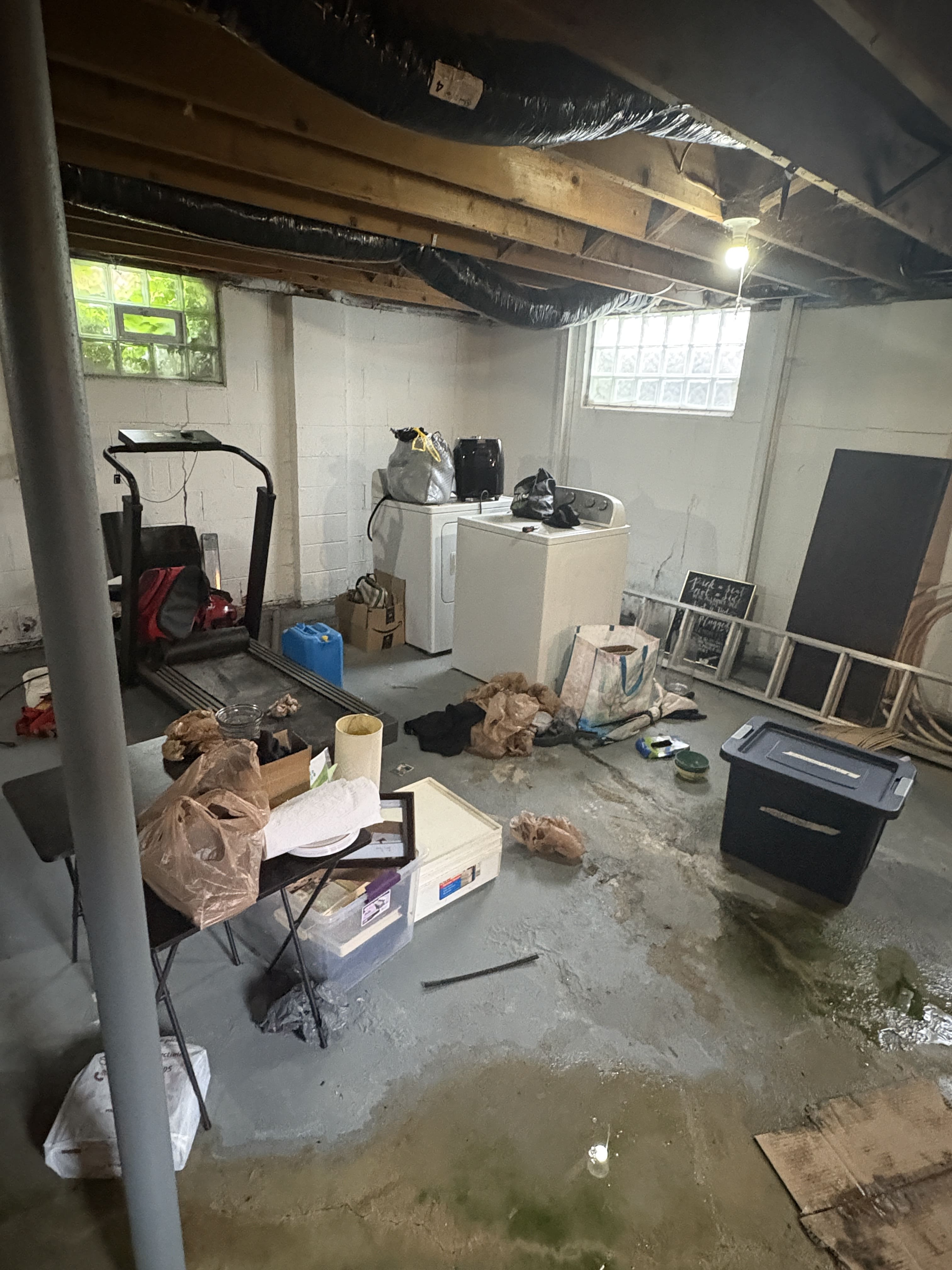 Before Basement Cleanout